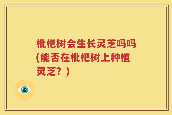枇杷树会生长灵芝吗吗(能否在枇杷树上种植灵芝？)