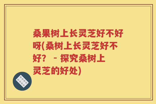 桑果树上长灵芝好不好呀(桑树上长灵芝好不好？ - 探究桑树上灵芝的好处)