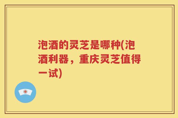 泡酒的灵芝是哪种(泡酒利器，重庆灵芝值得一试)