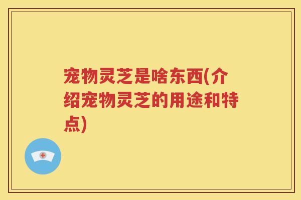 宠物灵芝是啥东西(介绍宠物灵芝的用途和特点)