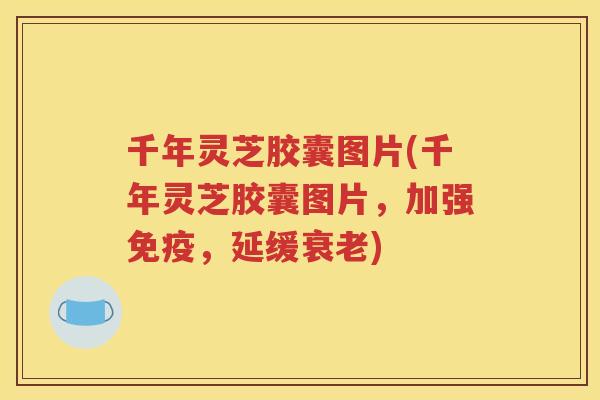 千年灵芝胶囊图片(千年灵芝胶囊图片，加强免疫，延缓衰老)
