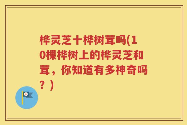 桦灵芝十桦树茸吗(10棵桦树上的桦灵芝和茸，你知道有多神奇吗？)
