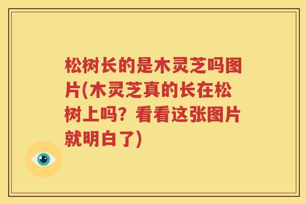 松树长的是木灵芝吗图片(木灵芝真的长在松树上吗？看看这张图片就明白了)