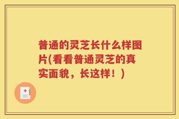普通的灵芝长什么样图片(看看普通灵芝的真实面貌，长这样！)