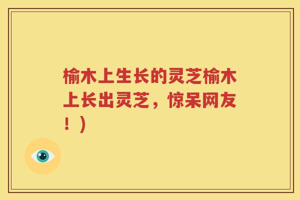 榆木上生长的灵芝榆木上长出灵芝，惊呆网友！)