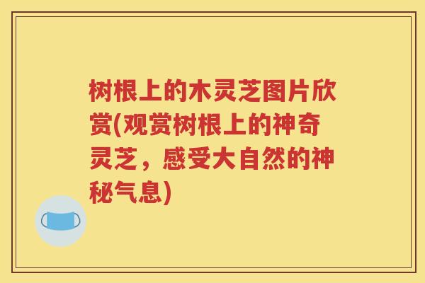 树根上的木灵芝图片欣赏(观赏树根上的神奇灵芝，感受大自然的神秘气息)