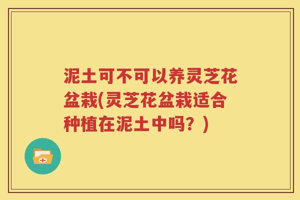 泥土可不可以养灵芝花盆栽(灵芝花盆栽适合种植在泥土中吗？)