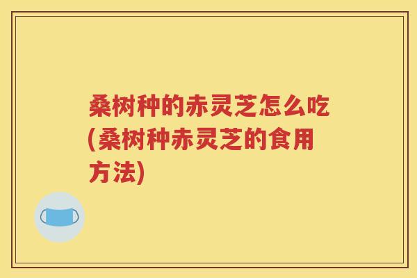 桑树种的赤灵芝怎么吃(桑树种赤灵芝的食用方法)