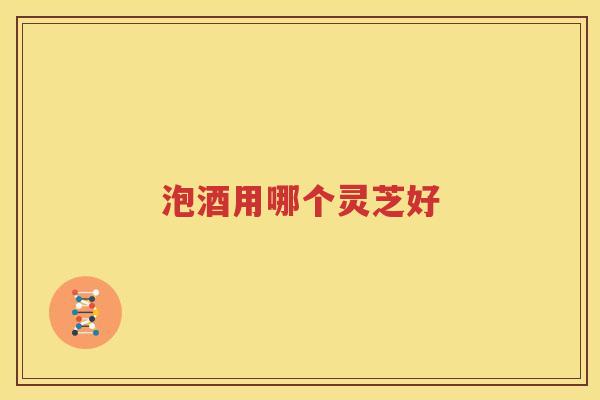 泡酒用哪个灵芝好