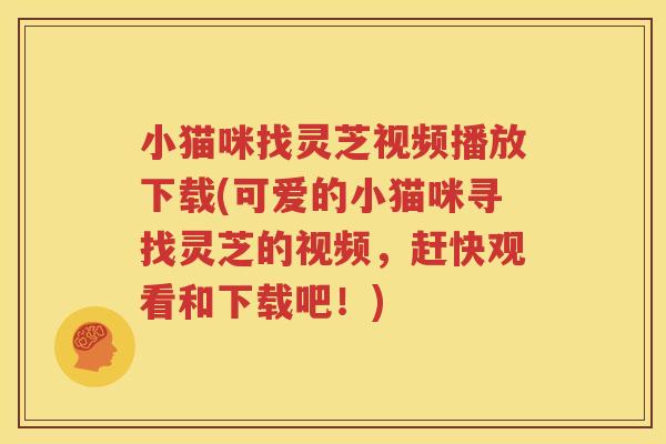 小猫咪找灵芝视频播放下载(可爱的小猫咪寻找灵芝的视频，赶快观看和下载吧！)