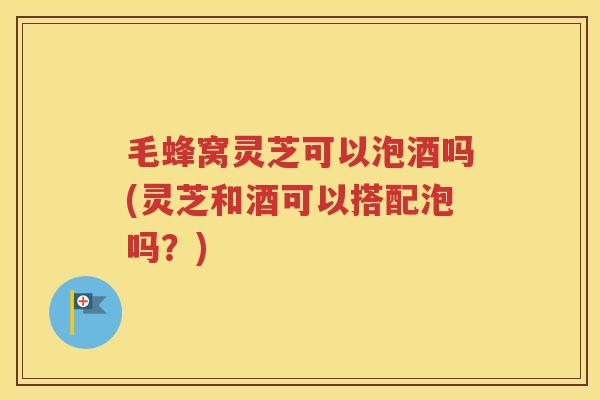 毛蜂窝灵芝可以泡酒吗(灵芝和酒可以搭配泡吗？)