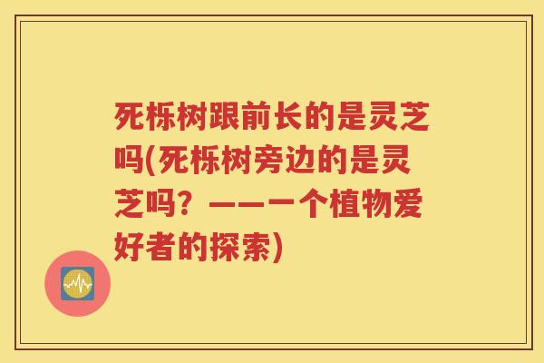 死栎树跟前长的是灵芝吗(死栎树旁边的是灵芝吗？——一个植物爱好者的探索)