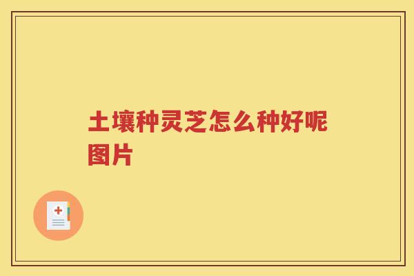 土壤种灵芝怎么种好呢图片