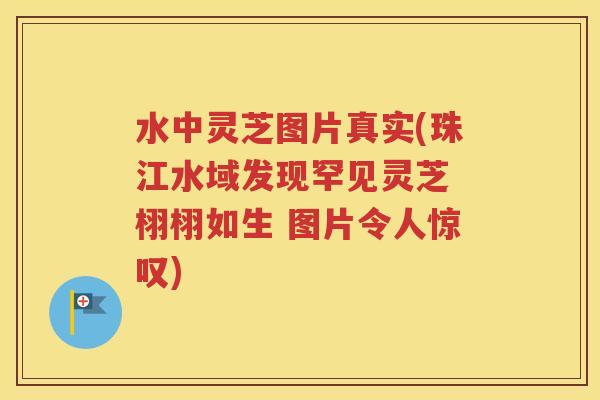 水中灵芝图片真实(珠江水域发现罕见灵芝 栩栩如生 图片令人惊叹)