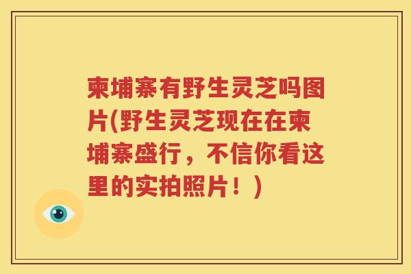 柬埔寨有野生灵芝吗图片(野生灵芝现在在柬埔寨盛行，不信你看这里的实拍照片！)