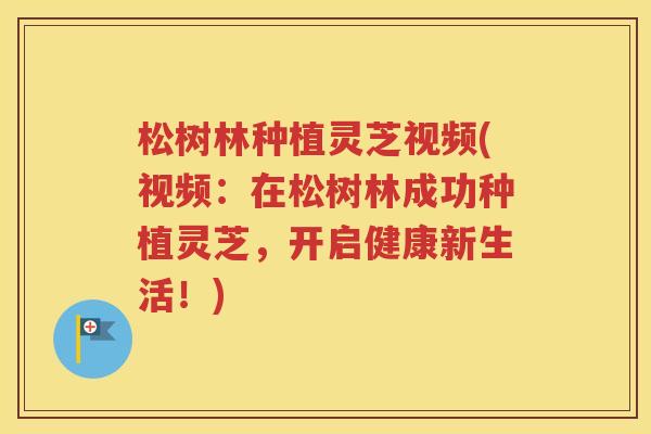 松树林种植灵芝视频(视频：在松树林成功种植灵芝，开启健康新生活！)
