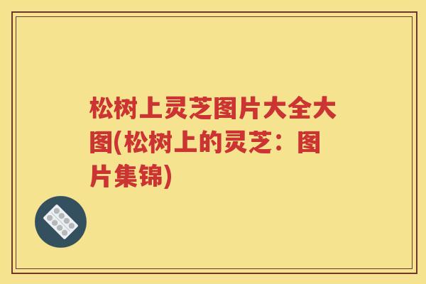 松树上灵芝图片大全大图(松树上的灵芝：图片集锦)