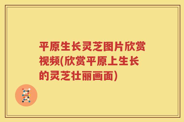 平原生长灵芝图片欣赏视频(欣赏平原上生长的灵芝壮丽画面)