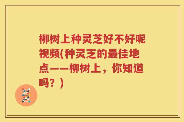 柳树上种灵芝好不好呢视频(种灵芝的最佳地点——柳树上，你知道吗？)