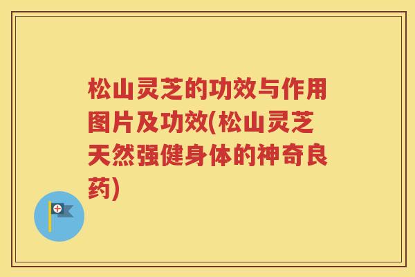 松山灵芝的功效与作用图片及功效(松山灵芝天然强健身体的神奇良药)