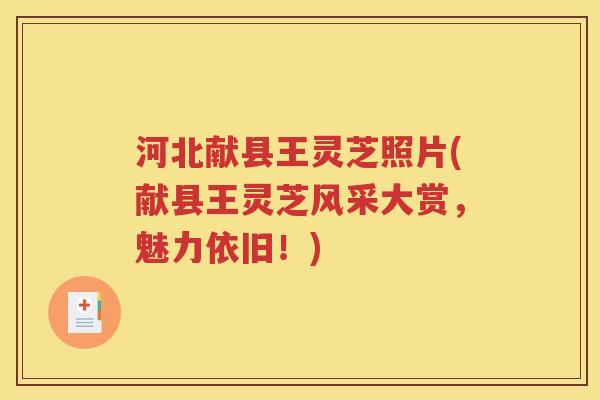 河北献县王灵芝照片(献县王灵芝风采大赏，魅力依旧！)
