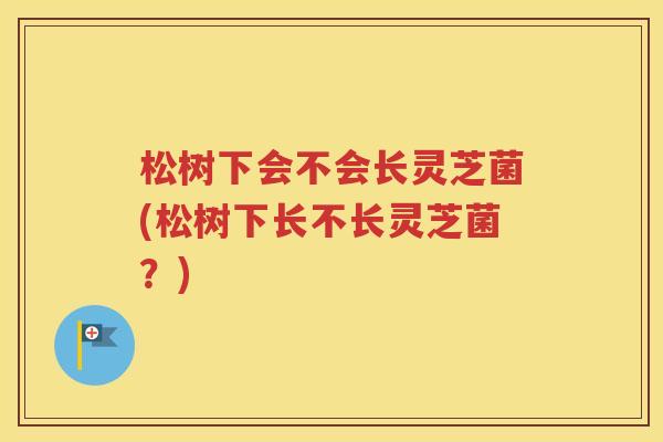 松树下会不会长灵芝菌(松树下长不长灵芝菌？)