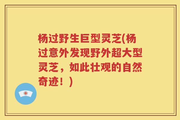 杨过野生巨型灵芝(杨过意外发现野外超大型灵芝，如此壮观的自然奇迹！)
