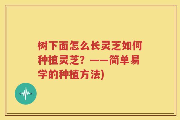 树下面怎么长灵芝如何种植灵芝？——简单易学的种植方法)