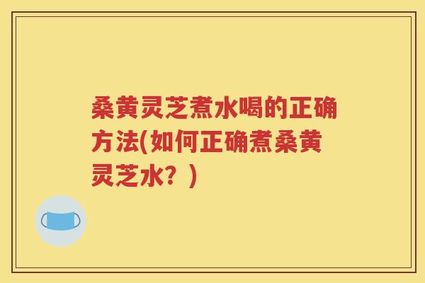 桑黄灵芝煮水喝的正确方法(如何正确煮桑黄灵芝水？)