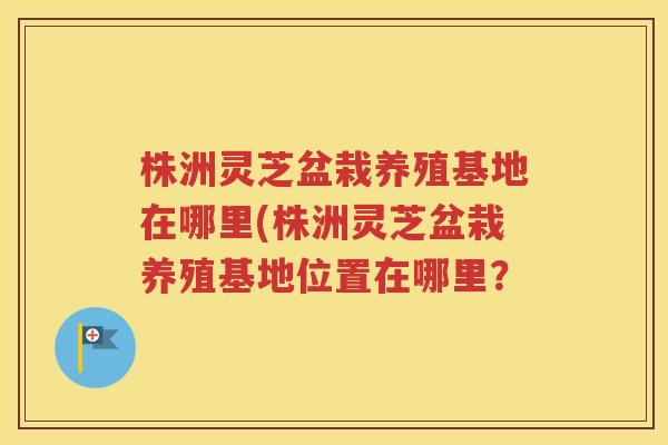 株洲灵芝盆栽养殖基地在哪里(株洲灵芝盆栽养殖基地位置在哪里？