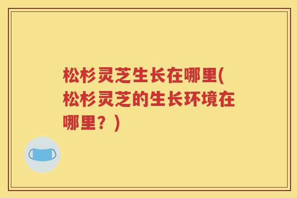 松杉灵芝生长在哪里(松杉灵芝的生长环境在哪里？)