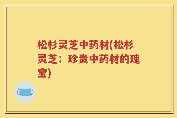 松杉灵芝中药材(松杉灵芝：珍贵中药材的瑰宝)
