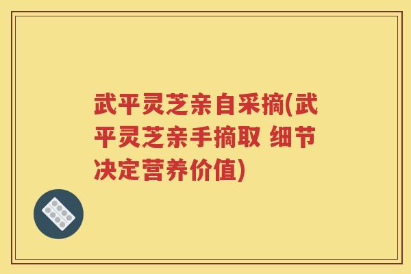 武平灵芝亲自采摘(武平灵芝亲手摘取 细节决定营养价值)