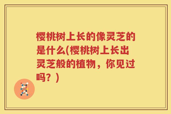 樱桃树上长的像灵芝的是什么(樱桃树上长出灵芝般的植物，你见过吗？)