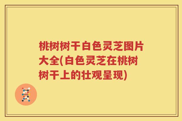 桃树树干白色灵芝图片大全(白色灵芝在桃树树干上的壮观呈现)