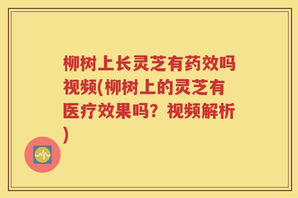 柳树上长灵芝有药效吗视频(柳树上的灵芝有医疗效果吗？视频解析)