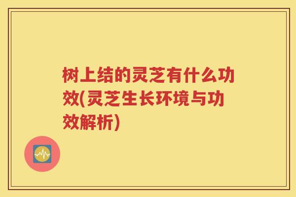 树上结的灵芝有什么功效(灵芝生长环境与功效解析)