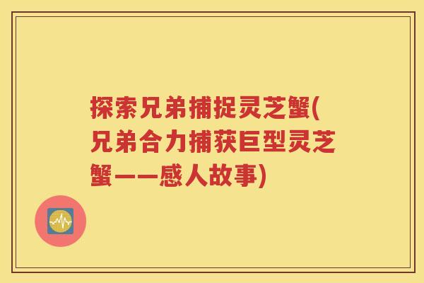 探索兄弟捕捉灵芝蟹(兄弟合力捕获巨型灵芝蟹——感人故事)