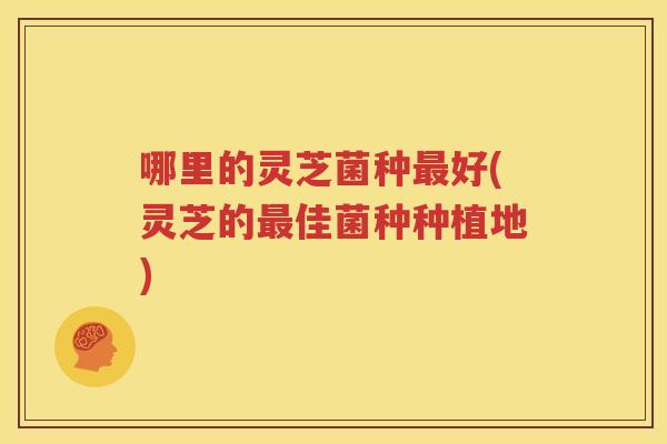 哪里的灵芝菌种最好(灵芝的最佳菌种种植地)