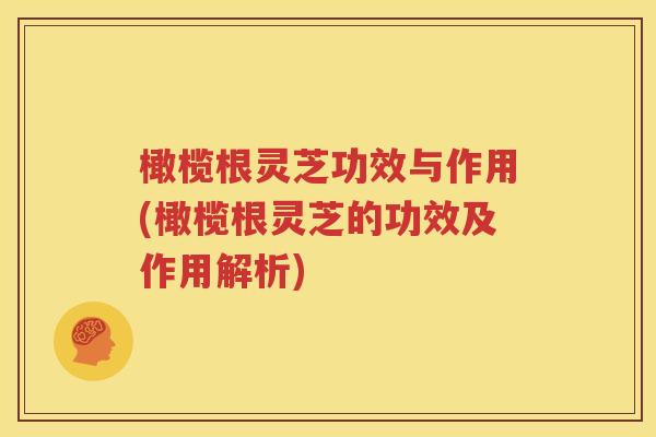 橄榄根灵芝功效与作用(橄榄根灵芝的功效及作用解析)