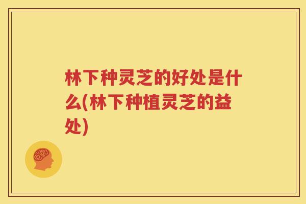 林下种灵芝的好处是什么(林下种植灵芝的益处)