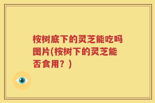 桉树底下的灵芝能吃吗图片(桉树下的灵芝能否食用？)