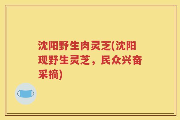沈阳野生肉灵芝(沈阳现野生灵芝，民众兴奋采摘)
