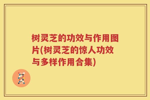 树灵芝的功效与作用图片(树灵芝的惊人功效与多样作用合集)
