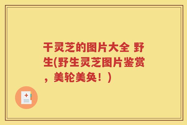 干灵芝的图片大全 野生(野生灵芝图片鉴赏，美轮美奂！)