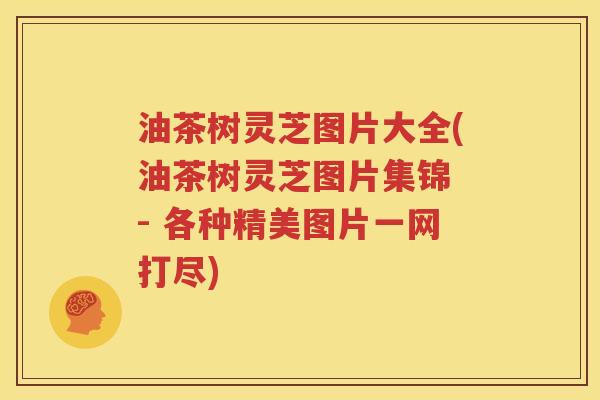 油茶树灵芝图片大全(油茶树灵芝图片集锦 - 各种精美图片一网打尽)