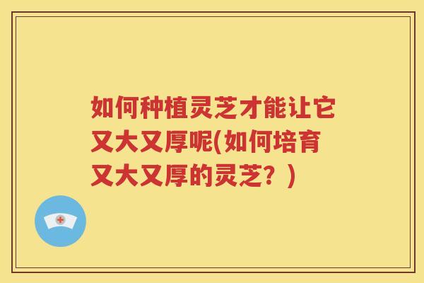 如何种植灵芝才能让它又大又厚呢(如何培育又大又厚的灵芝？)