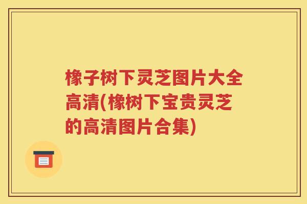 橡子树下灵芝图片大全高清(橡树下宝贵灵芝的高清图片合集)