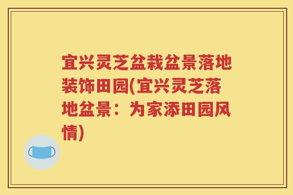 宜兴灵芝盆栽盆景落地装饰田园(宜兴灵芝落地盆景：为家添田园风情)