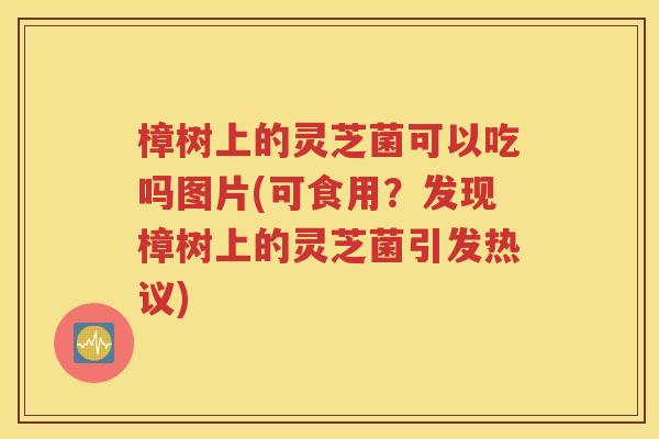 樟树上的灵芝菌可以吃吗图片(可食用？发现樟树上的灵芝菌引发热议)